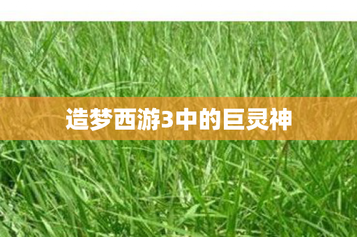 造梦西游3中的巨灵神 造梦西游3中的巨灵神