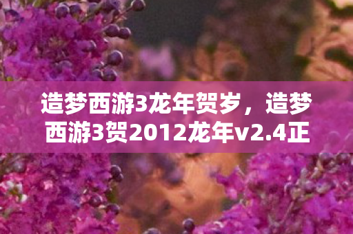 造梦西游3龙年贺岁，造梦西游3贺2012龙年v2.4正式版，经典再续，龙年共庆
