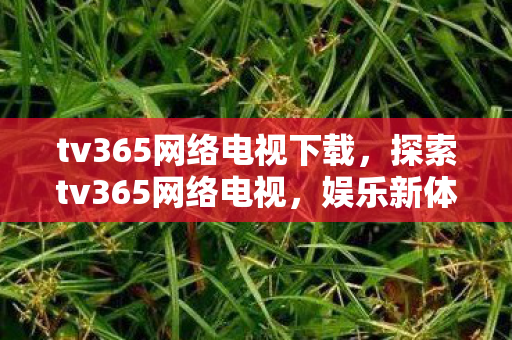 tv365网络电视下载，探索tv365网络电视，娱乐新体验与数字生活的融合