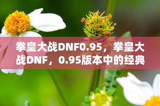 拳皇大战DNF0.95，拳皇大战DNF，0.95版本中的经典对决与策略分析