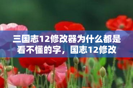 三国志12修改器为什么都是看不懂的字，国志12修改器，策略游戏中的创意工具