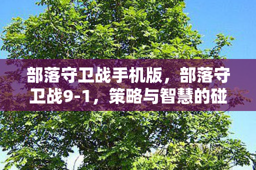 部落守卫战手机版，部落守卫战9-1，策略与智慧的碰撞