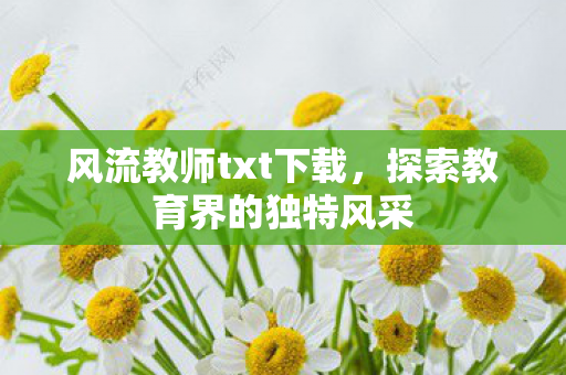 风流教师txt下载，探索教育界的独特风采