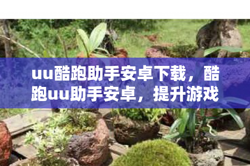 uu酷跑助手安卓下载，酷跑uu助手安卓，提升游戏体验的得力助手
