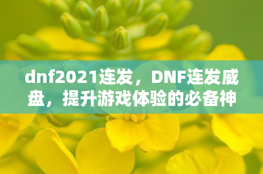 dnf2021连发，DNF连发威盘，提升游戏体验的必备神器