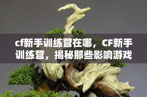 cf新手训练营在哪，CF新手训练营，揭秘那些影响游戏体验的BUG