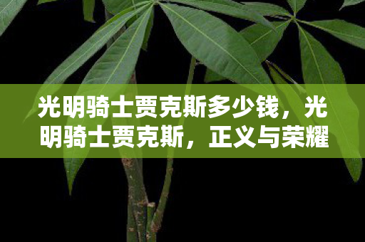 光明骑士贾克斯多少钱，光明骑士贾克斯，正义与荣耀的守护者