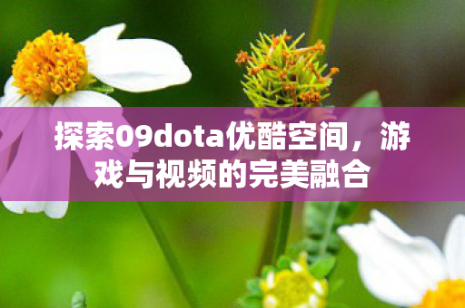 探索09dota优酷空间,游戏与视频的完美融合 探索09dota优酷空间,游戏与视频的完美融合