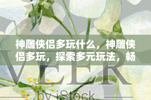 神雕侠侣多玩什么，神雕侠侣多玩，探索多元玩法，畅游武侠世界