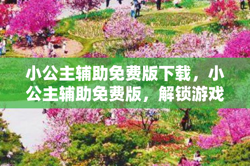 小公主辅助免费版下载，小公主辅助免费版，解锁游戏乐趣的神奇钥匙