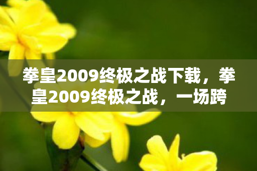 拳皇2009终极之战下载，拳皇2009终极之战，一场跨越时空的格斗盛宴