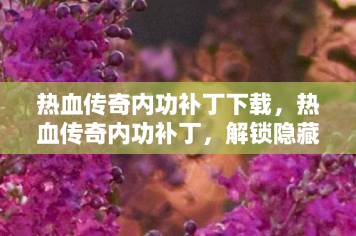 热血传奇内功补丁下载，热血传奇内功补丁，解锁隐藏技能，提升战斗实力