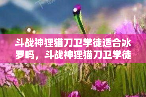 斗战神狸猫刀卫学徒适合冰罗吗，斗战神狸猫刀卫学徒，探索游戏世界的隐秘学徒之路