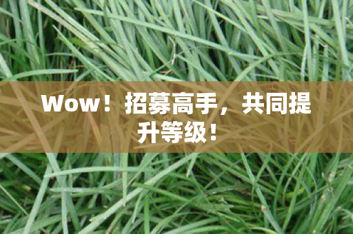 Wow！招募高手，共同提升等级！