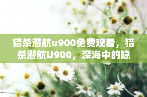 猎杀潜航u900免费观看，猎杀潜航U900，深海中的隐秘战斗