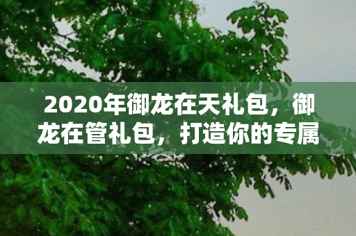 2020年御龙在天礼包，御龙在管礼包，打造你的专属游戏世界