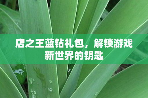 店之王蓝钻礼包，解锁游戏新世界的钥匙