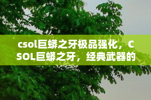 csol巨蟒之牙极品强化，CSOL巨蟒之牙，经典武器的传奇故事