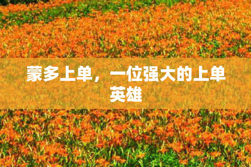 蒙多上单，一位强大的上单英雄