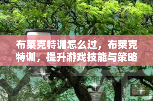 布莱克特训怎么过，布莱克特训，提升游戏技能与策略的深度指南