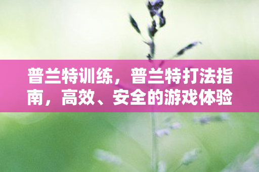 普兰特训练，普兰特打法指南，高效、安全的游戏体验
