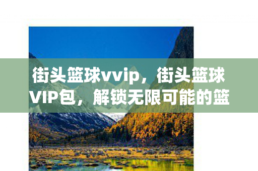街头篮球vvip，街头篮球VIP包，解锁无限可能的篮球竞技体验