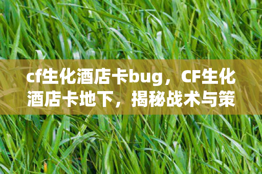 cf生化酒店卡bug，CF生化酒店卡地下，揭秘战术与策略