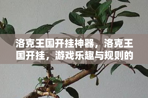 洛克王国开挂神器，洛克王国开挂，游戏乐趣与规则的边界