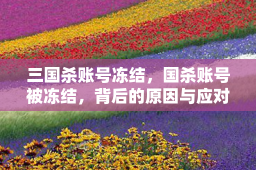 三国杀账号冻结，国杀账号被冻结，背后的原因与应对策略