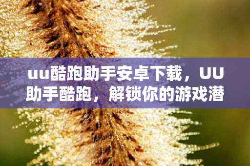 uu酷跑助手安卓下载，UU助手酷跑，解锁你的游戏潜能