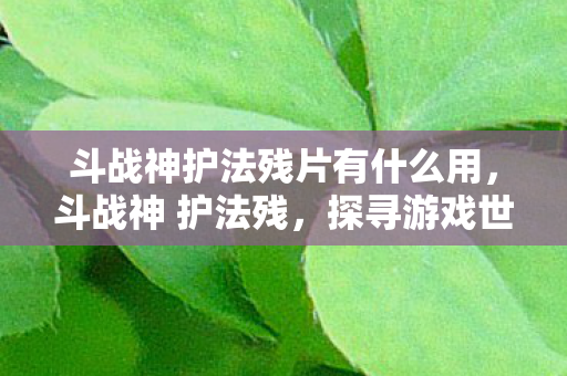 斗战神护法残片有什么用，斗战神 护法残，探寻游戏世界的隐秘守护者