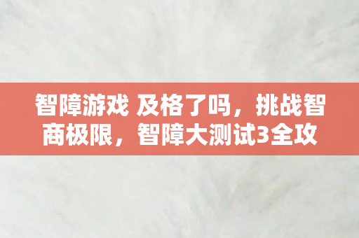智障游戏 及格了吗，挑战智商极限，智障大测试3全攻略