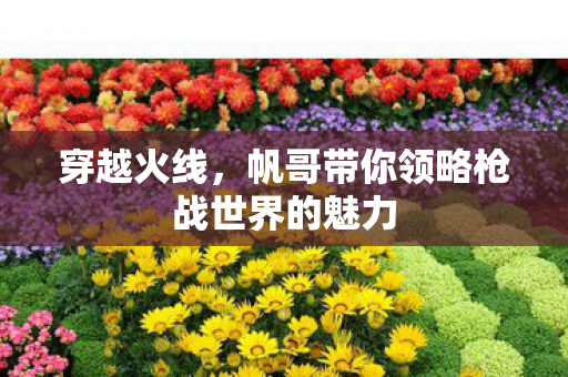 穿越火线，帆哥带你领略枪战世界的魅力