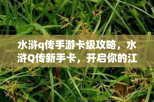 水浒q传手游卡级攻略，水浒Q传新手卡，开启你的江湖之旅