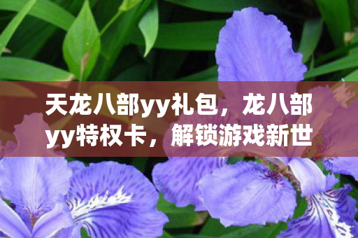 天龙八部yy礼包，龙八部yy特权卡，解锁游戏新世界的神秘钥匙