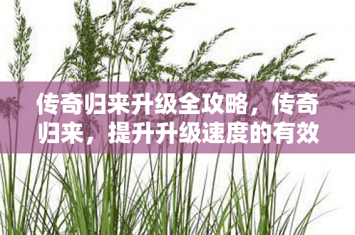 传奇归来升级全攻略，传奇归来，提升升级速度的有效策略