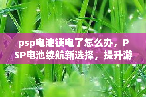 psp电池锁电了怎么办，PSP电池续航新选择，提升游戏体验的关键一步