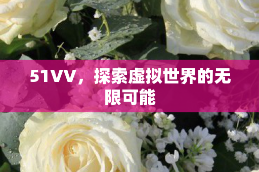 51VV，探索虚拟世界的无限可能