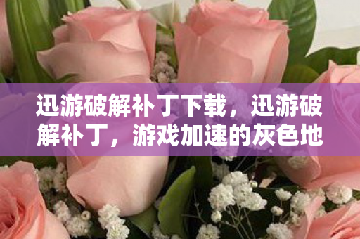 迅游破解补丁下载，迅游破解补丁，游戏加速的灰色地带