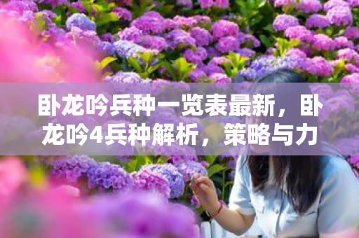 卧龙吟兵种一览表最新，卧龙吟4兵种解析，策略与力量的完美结合