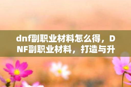 dnf副职业材料怎么得，DNF副职业材料，打造与升级的不二之选