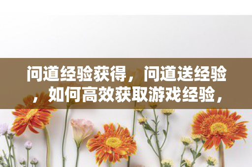 问道经验获得，问道送经验，如何高效获取游戏经验，提升等级？