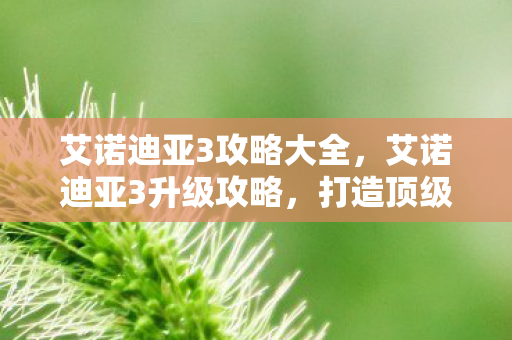 艾诺迪亚3攻略大全，艾诺迪亚3升级攻略，打造顶级角色的必经之路