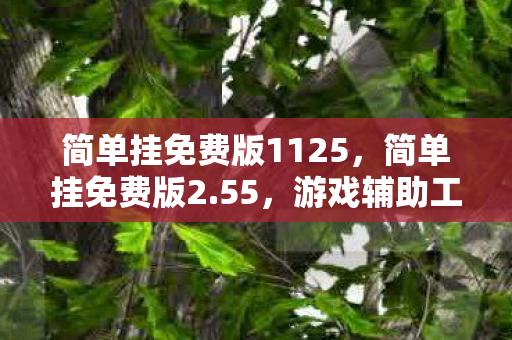 简单挂免费版1125，简单挂免费版2.55，游戏辅助工具的新选择