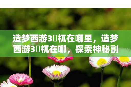 造梦西游3梼杌在哪里，造梦西游3梼杌在哪，探索神秘副本的旅程