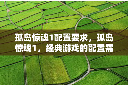 孤岛惊魂1配置要求，孤岛惊魂1，经典游戏的配置需求与体验优化