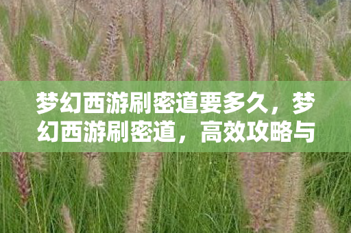 梦幻西游刷密道要多久，梦幻西游刷密道，高效攻略与心得分享
