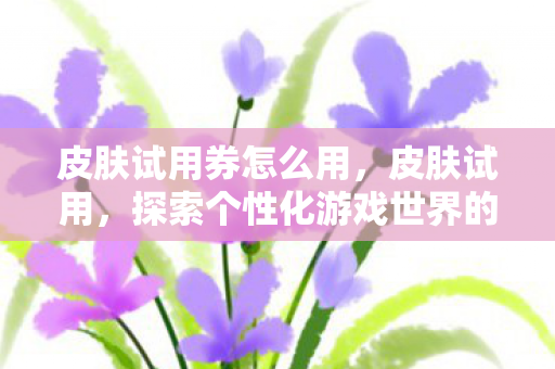 皮肤试用券怎么用，皮肤试用，探索个性化游戏世界的无限可能