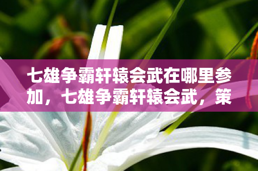 七雄争霸轩辕会武在哪里参加，七雄争霸轩辕会武，策略与智慧的巅峰对决