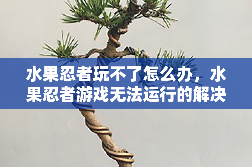 水果忍者玩不了怎么办，水果忍者游戏无法运行的解决方案